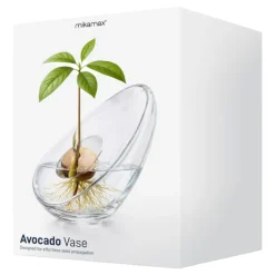 Avokadovase i glass