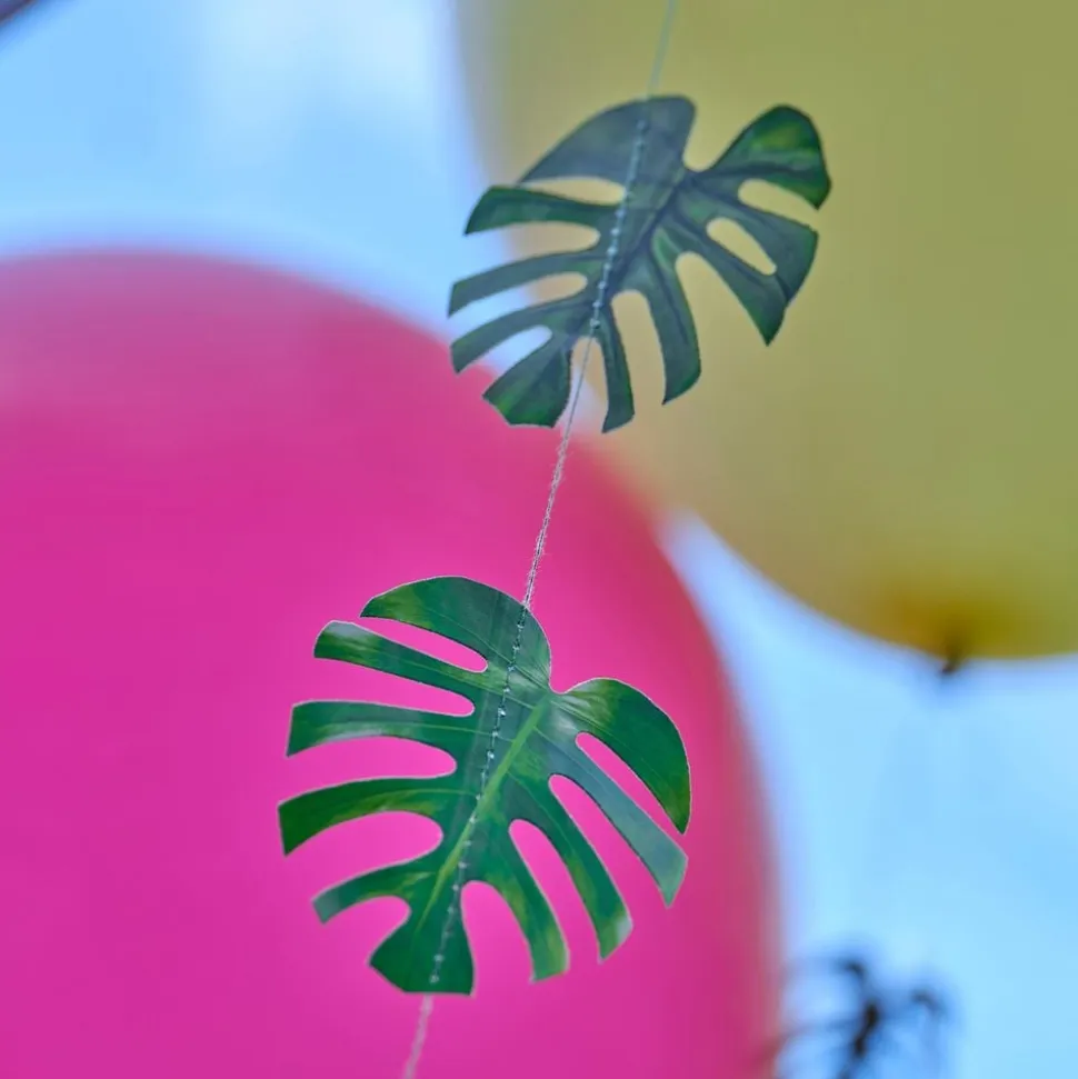 Ballonghaler Hawaii