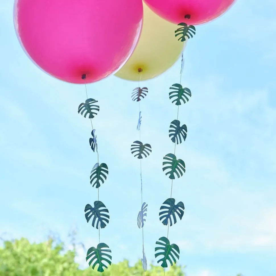 Ballonghaler Hawaii
