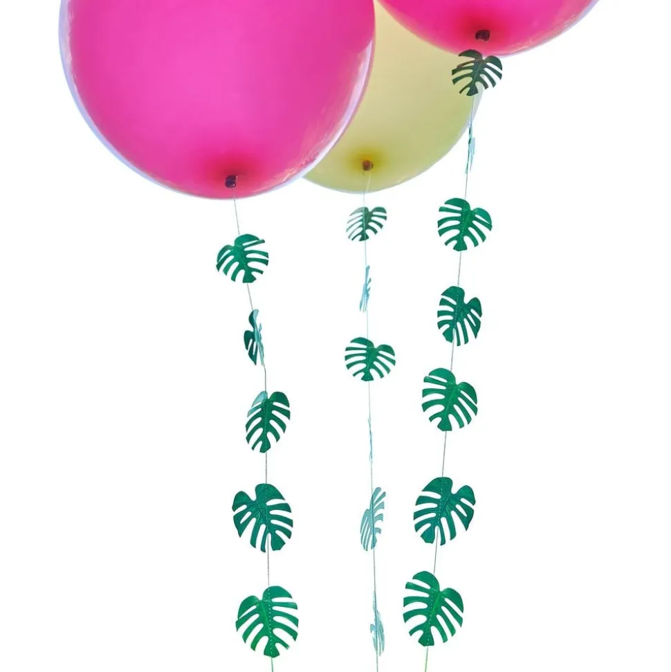 Ballonghaler Hawaii