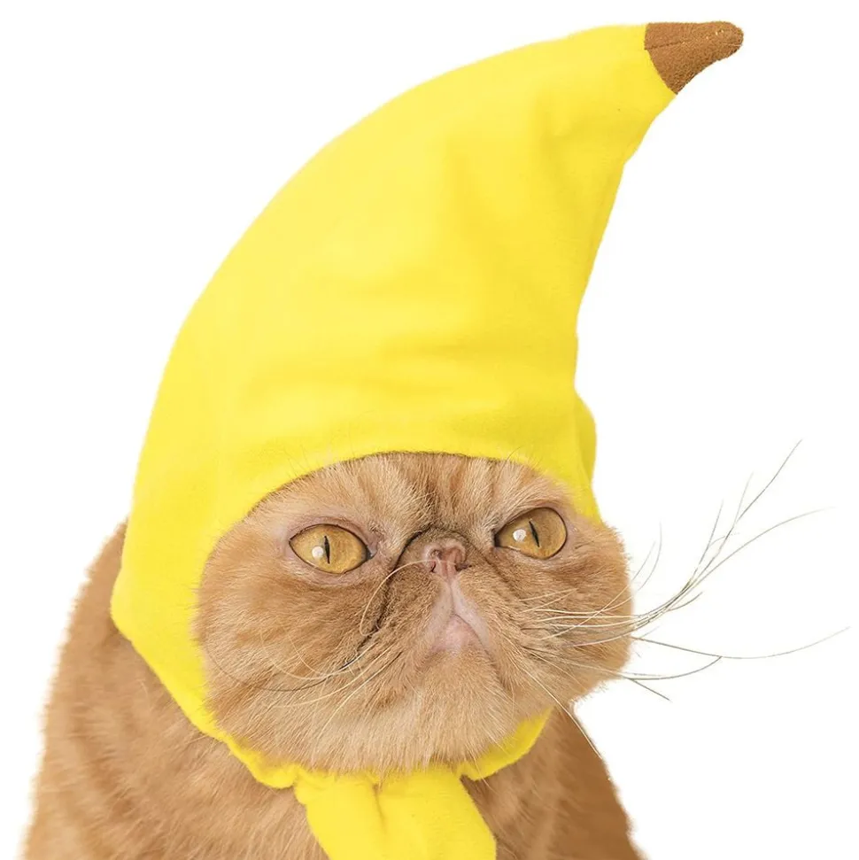 Bananhatt til Katt