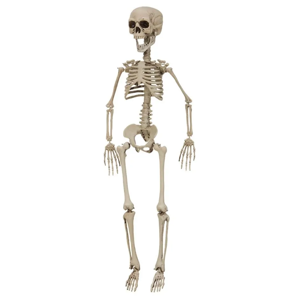 Barneskjelett Prop