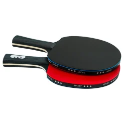 Bordtennissett