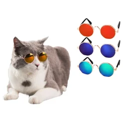 Briller til Katt/Hund