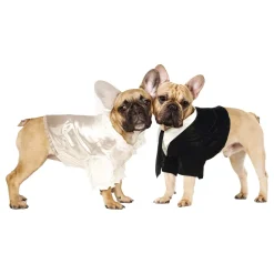 Brudgom kostyme for hund