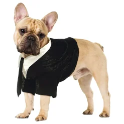 Brudgom kostyme for hund