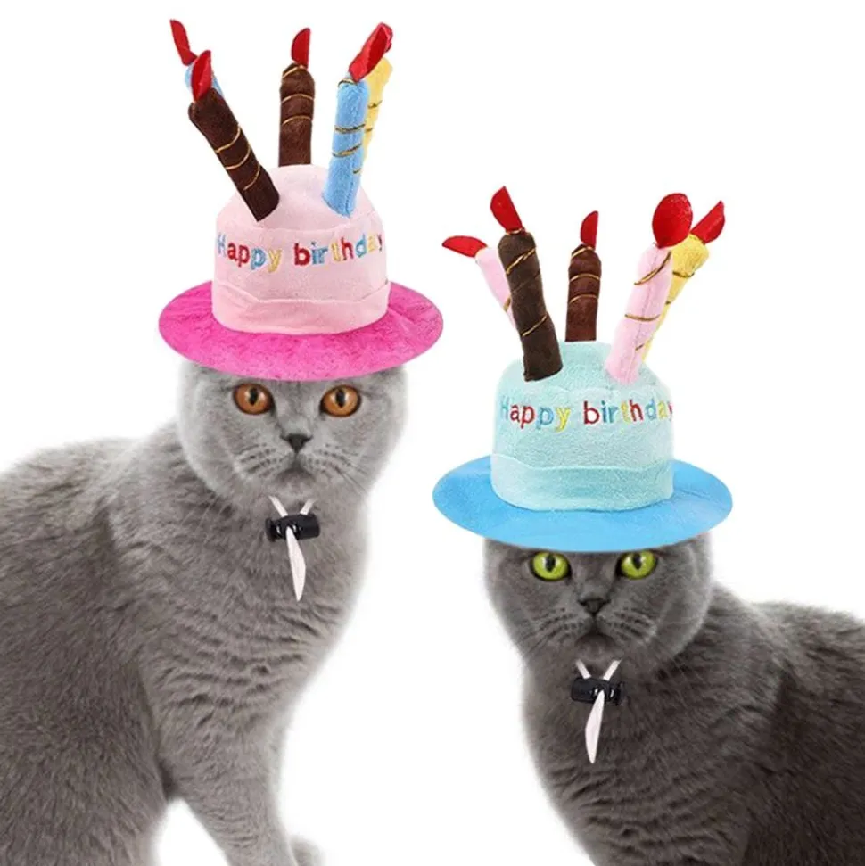Bursdagshatt Katt