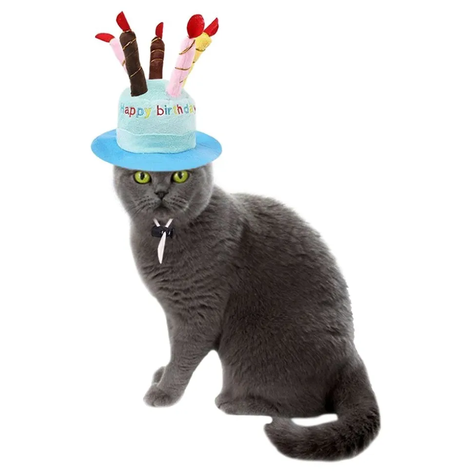 Bursdagshatt Katt