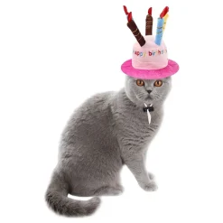 Bursdagshatt Katt