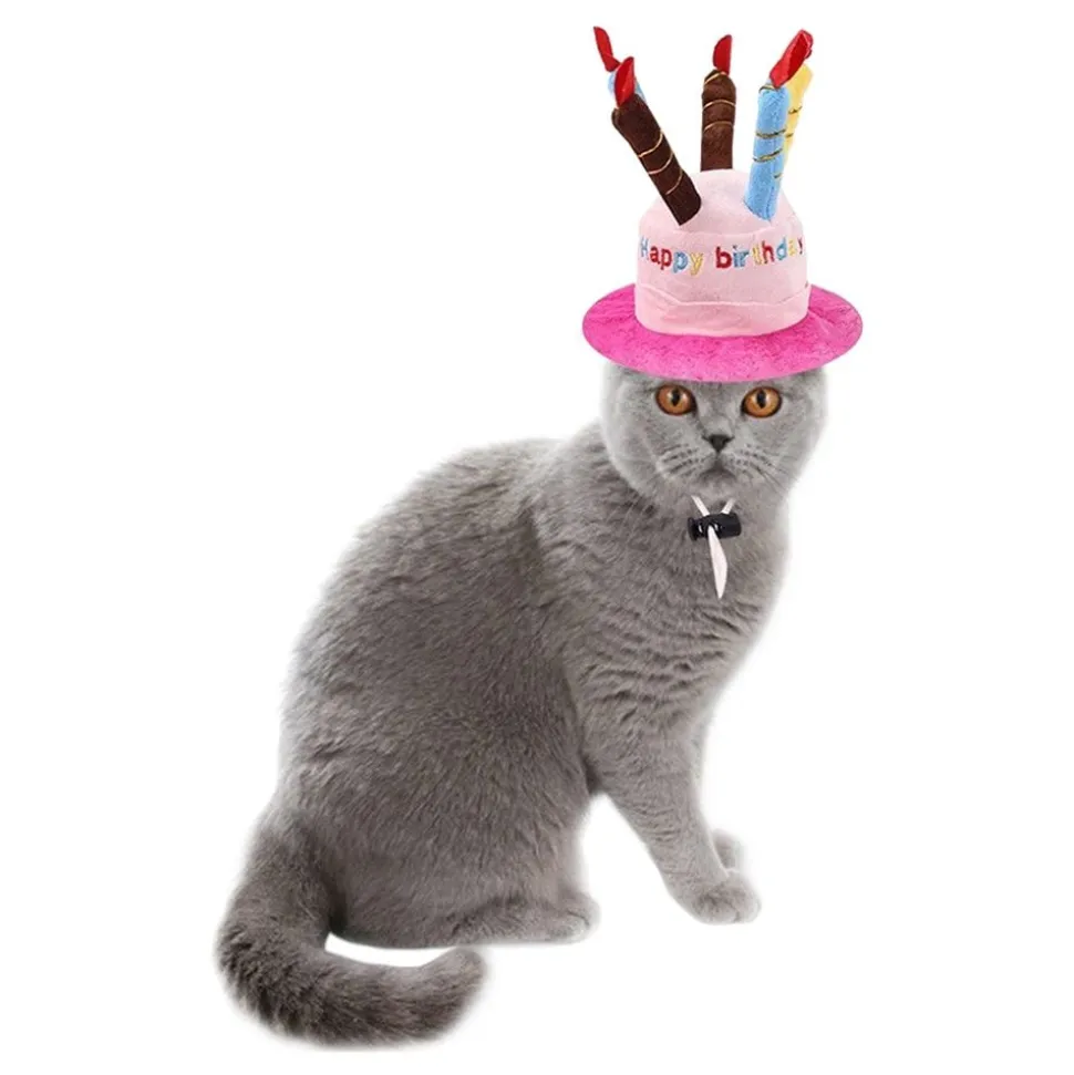 Bursdagshatt Katt