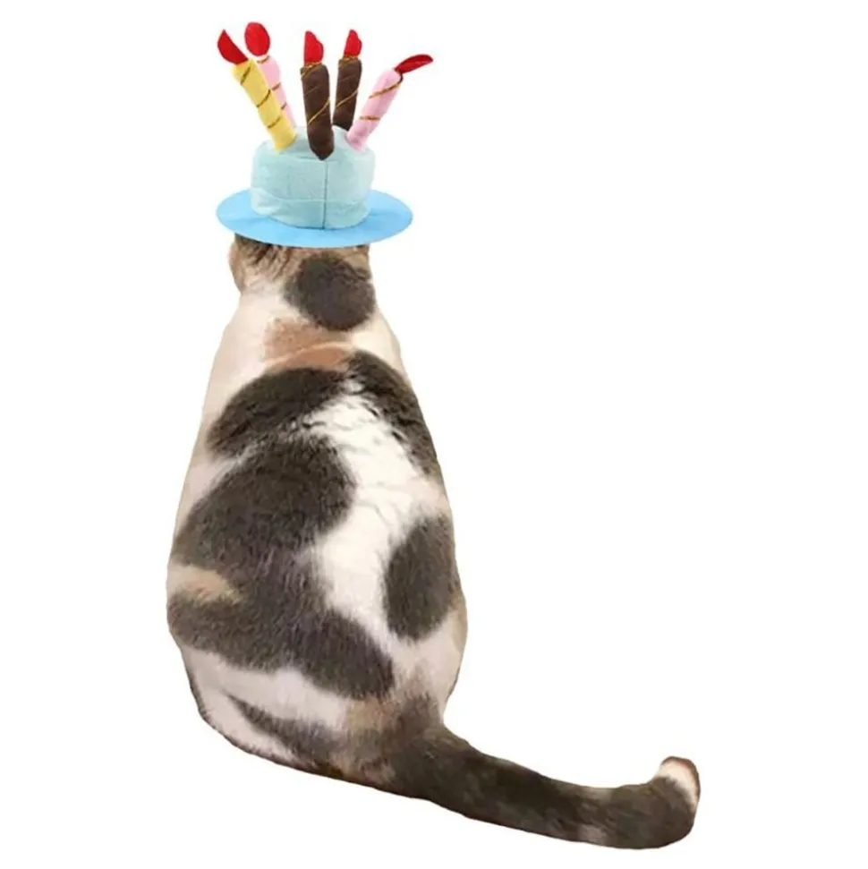 Bursdagshatt Katt