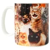 Crazy Cat Lady Kopp