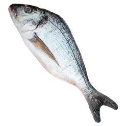 Fisk i Stoff