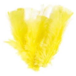 Fjær Gule