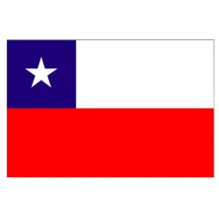 Flagg Chile