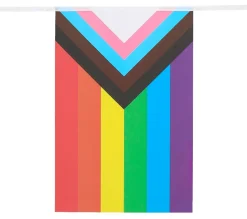 Flaggirlander Pride Progress