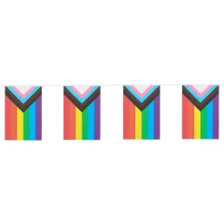 Flaggirlander Pride Progress