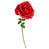 Gigantisk Rose