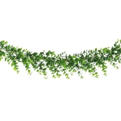 Girlander Eukalyptus