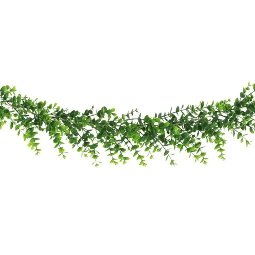 Girlander Eukalyptus