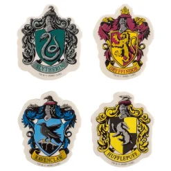 Harry Potter Viskelær