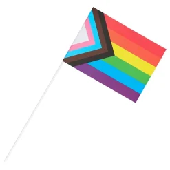 Håndflagg Pride Progress