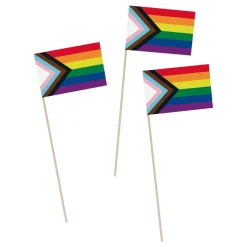 Håndflagg Progress Pride