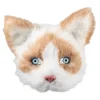Katt Halvmaske