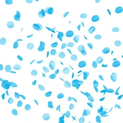 Kjempeballong Gender Reveal