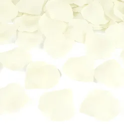 Konfettikanon roseblader kremhvit