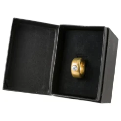 Kopp med guldring