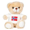 Kosebamse med Norsk Flagg