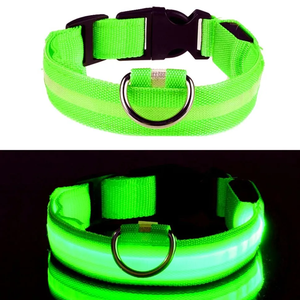 LED Hundehalsbånd