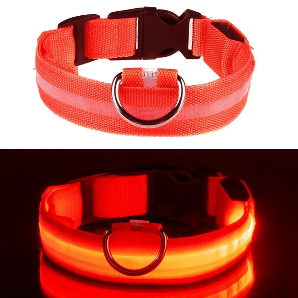 LED Hundehalsbånd