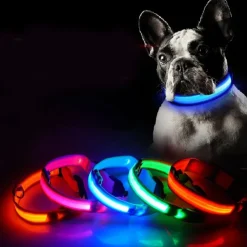 LED Hundehalsbånd