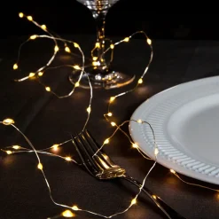 LED String Lights Gull