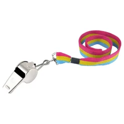 Metallfløyte Pride Pansexual