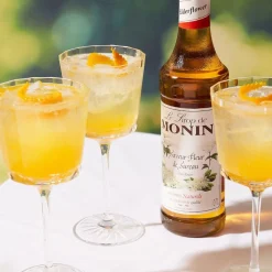 Monin Hylleblomst Sirup
