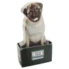 Mustard Dog In A Box Sticky Notes