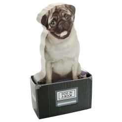 Mustard Dog In A Box Sticky Notes