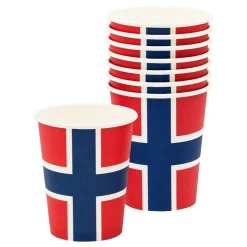 Pappkopper Norske Flagget