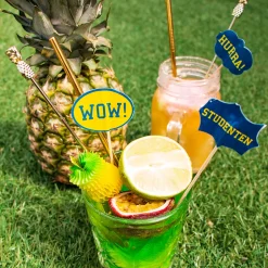 Partypicks Studenten