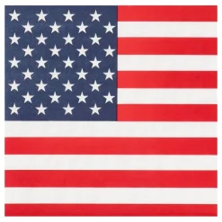 Servietter American Party
