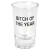 Snapseglass Bitch of the Year